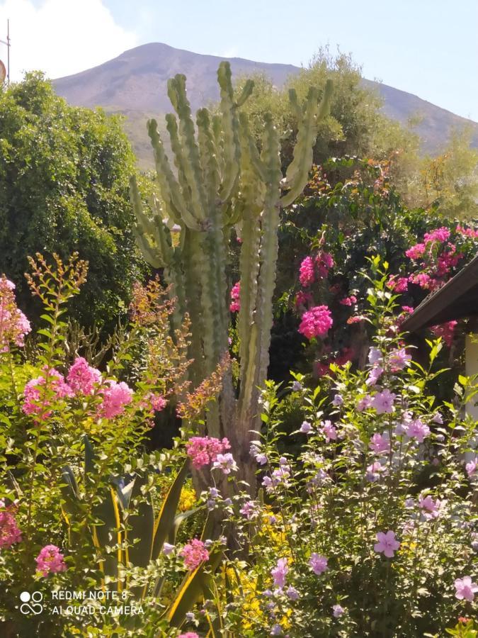 La Rosamarina Hotell Stromboli Eksteriør bilde