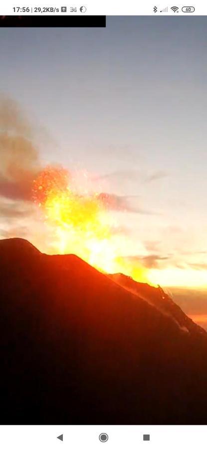 La Rosamarina Hotell Stromboli Eksteriør bilde