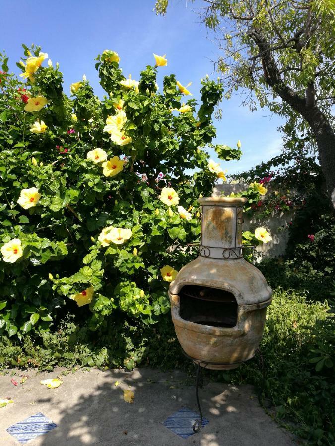 La Rosamarina Hotell Stromboli Eksteriør bilde